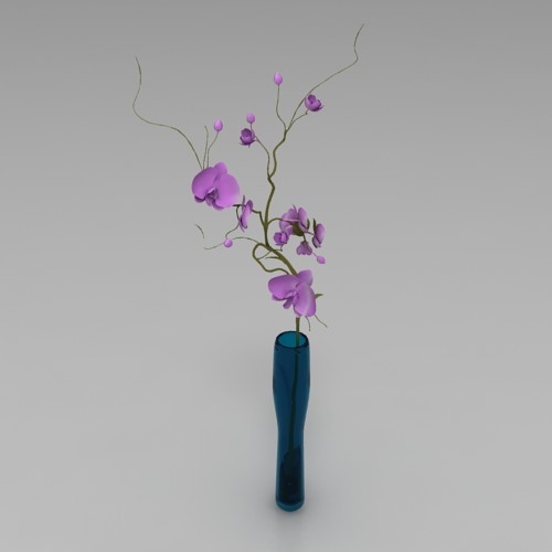 Орхидея в вазе