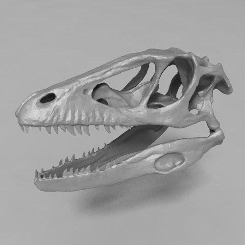 Dinosaur skull