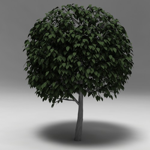 Дерево 001