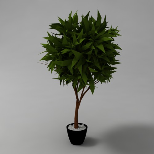 Растение 002