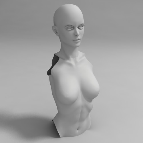 Woman head, body